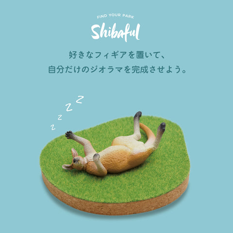 Shibaful Island Coaster Set